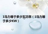 1马力等于多少瓦功率（1马力等于多少KW）