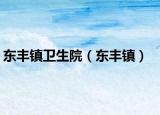 东丰镇卫生院（东丰镇）