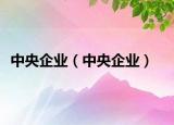 中央企业（中央企业）