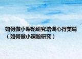 如何做小课题研究培训心得美篇（如何做小课题研究）