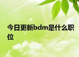 今日更新bdm是什么职位