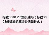 标致3008 2.0烧机油吗（标致3008烧机油的解决办法是什么）