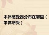 本体感受器分布在哪里（本体感受）