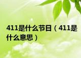 411是什么节日（411是什么意思）