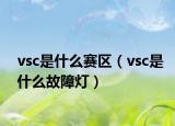 vsc是什么赛区（vsc是什么故障灯）
