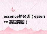 essence的名词（essence 英语词语）