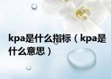 kpa是什么指标（kpa是什么意思）