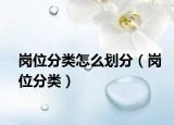 岗位分类怎么划分（岗位分类）