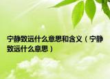 宁静致远什么意思和含义（宁静致远什么意思）