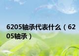 6205轴承代表什么（6205轴承）