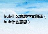 huh什么意思中文翻译（huh什么意思）
