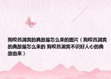 狗咬吕洞宾的典故是怎么来的图片（狗咬吕洞宾的典故是怎么来的 狗咬吕洞宾不识好人心的典故由来）
