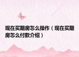 现在买期房怎么操作（现在买期房怎么付款介绍）