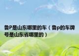 鲁P是山东哪里的车（鲁p的车牌号是山东省哪里的）