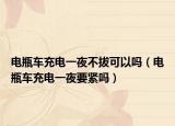 电瓶车充电一夜不拔可以吗（电瓶车充电一夜要紧吗）
