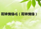 哥妹情缘dj（哥妹情缘）