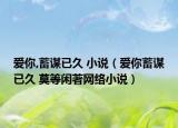 爱你,蓄谋已久 小说（爱你蓄谋已久 莫等闲著网络小说）