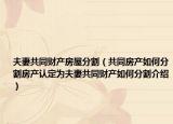 夫妻共同财产房屋分割（共同房产如何分割房产认定为夫妻共同财产如何分割介绍）