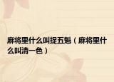 麻将里什么叫捉五魁（麻将里什么叫清一色）