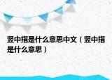 竖中指是什么意思中文（竖中指是什么意思）