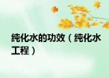 纯化水的功效（纯化水工程）