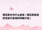 菊花茶水为什么变绿（菊花茶变绿好还是不变绿好详细介绍）