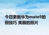 今日更新华为mate9拍照技巧 美丽的照片