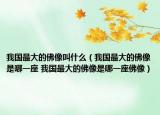 我国最大的佛像叫什么（我国最大的佛像是哪一座 我国最大的佛像是哪一座佛像）