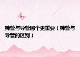 筛管与导管哪个更重要（筛管与导管的区别）