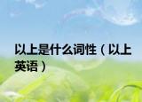 以上是什么词性（以上英语）