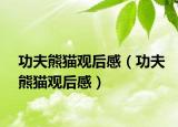 功夫熊猫观后感（功夫熊猫观后感）