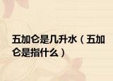 五加仑是几升水（五加仑是指什么）