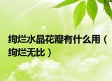 绚烂水晶花瓣有什么用（绚烂无比）