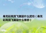 身无彩凤双飞翼是什么武功（身无彩凤双飞翼是什么意思）