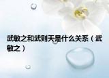 武敏之和武则天是什么关系（武敏之）