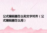 公式编辑器怎么和文字对齐（公式编辑器怎么用）