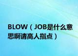 BLOW（JOB是什么意思啊请高人指点）