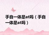 手自一体是at吗（手自一体是at吗）