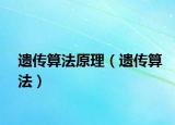 遗传算法原理（遗传算法）