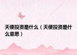 天使投资是什么（天使投资是什么意思）