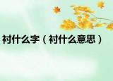 衬什么字（衬什么意思）