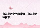 有大小两个字的成语（有大小两种货车）