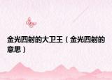 金光四射的大卫王（金光四射的意思）