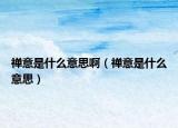 禅意是什么意思啊（禅意是什么意思）