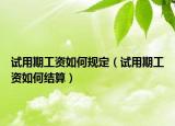 试用期工资如何规定（试用期工资如何结算）