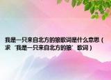 我是一只来自北方的狼歌词是什么意思（求‘我是一只来自北方的狼’歌词）