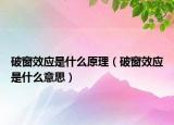 破窗效应是什么原理（破窗效应是什么意思）