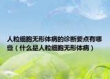 人粒细胞无形体病的诊断要点有哪些（什么是人粒细胞无形体病）