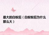 最大的白蚁后（白蚁蚁后为什么那么大）