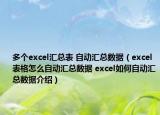 多个excel汇总表 自动汇总数据（excel表格怎么自动汇总数据 excel如何自动汇总数据介绍）